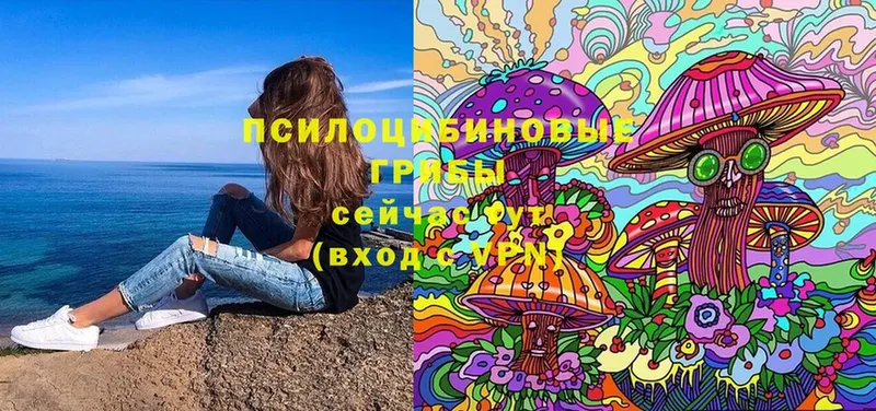 Галлюциногенные грибы Magic Shrooms  Дно 